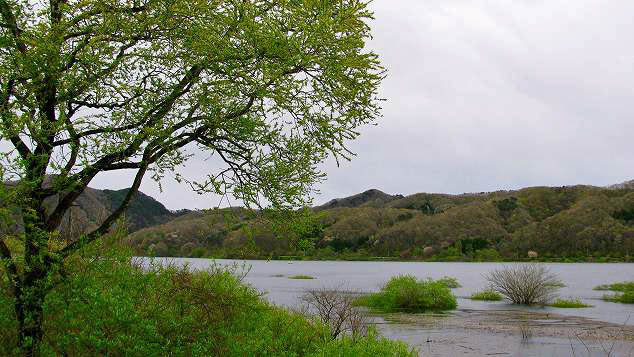 春の釜房湖